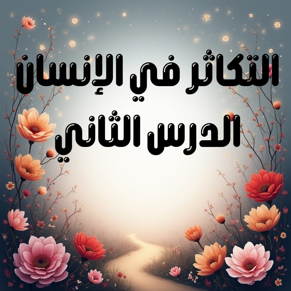 الصف